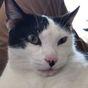 Meet your Posher, Alejandro